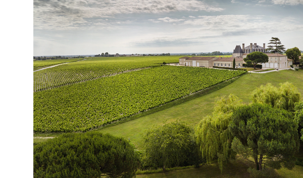 Chateau Lacoste Borie - Chateau Lacoste Borie Aop Pauillac - Rouge - 2021 - 0,75