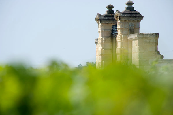 Chateau Labegorce Margaux - Chateau Labegorce Margaux Aop Margaux - Rouge - 2020 - 0,75