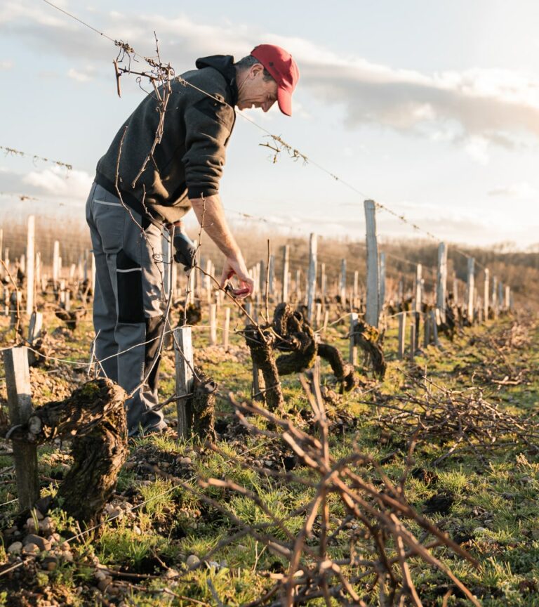 Chateau Gruaud Larose - Chateau Gruaud Larose - Aop Saint Julien - 2019