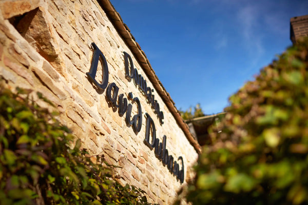 Domaine David Duband - Nuits Saint Georges - Rouge - 2023 - 0,75
