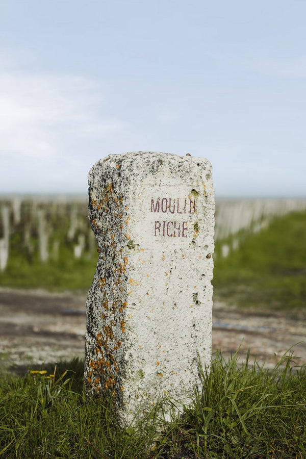 Chateau Moulin Riche - Chateau Moulin Riche Aop Saint Julien - Rouge - 2018 - 0,75