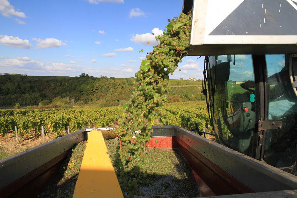 Nicolas Gaudry - Pouilly Fumé Les champs de Cri - Blanc - 2022 - 0,75