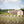 Carregar imagem no visualizador da galeria, Chateau Cap De Faugeres - Cap De Faugeres Aop Castillon Cote De Bordeaux - Rouge - 2018 - 0,75
