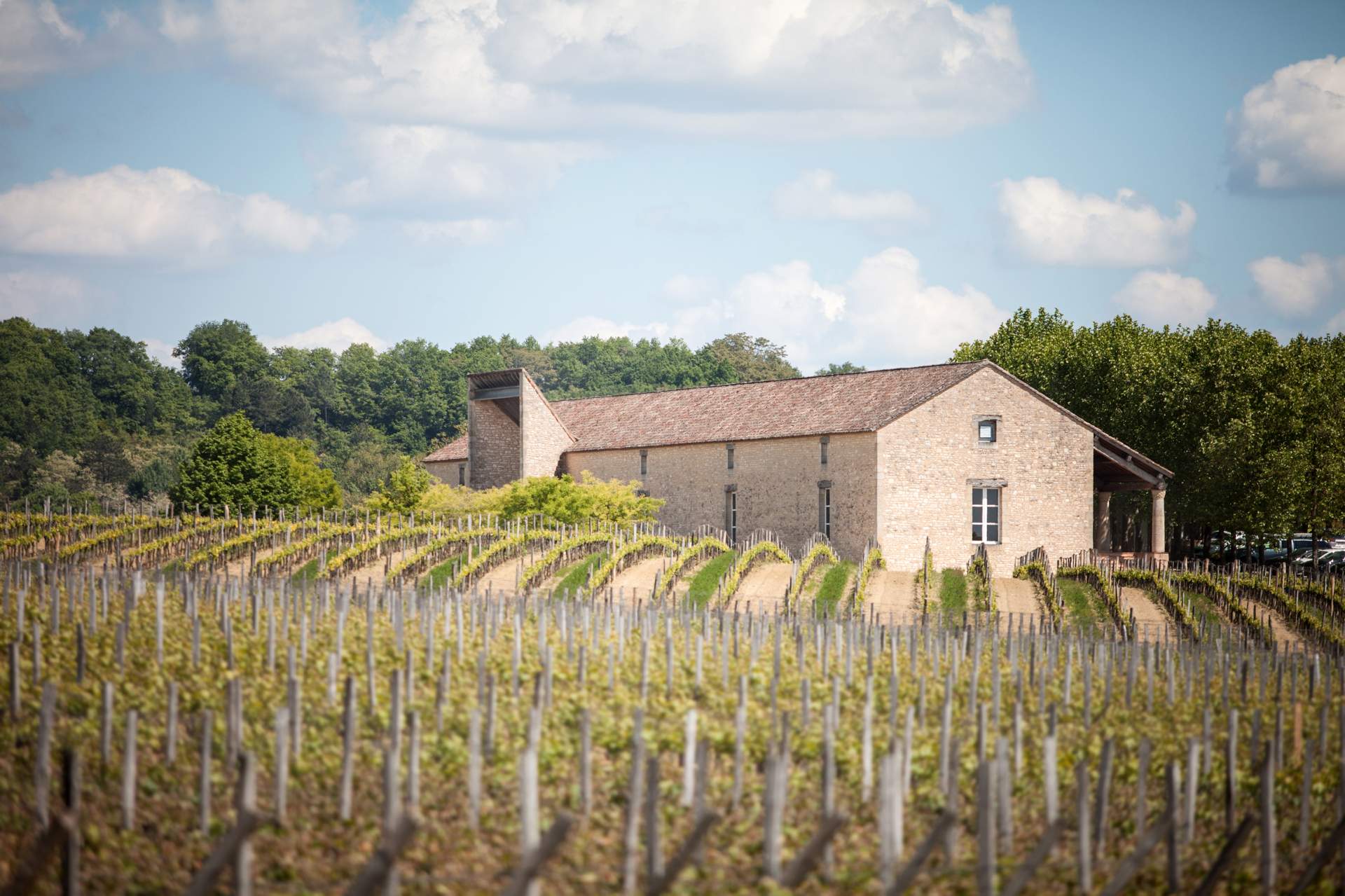 Chateau Cap De Faugeres - Cap De Faugeres Aop Castillon Cote De Bordeaux - Rouge - 2018 - 0,75