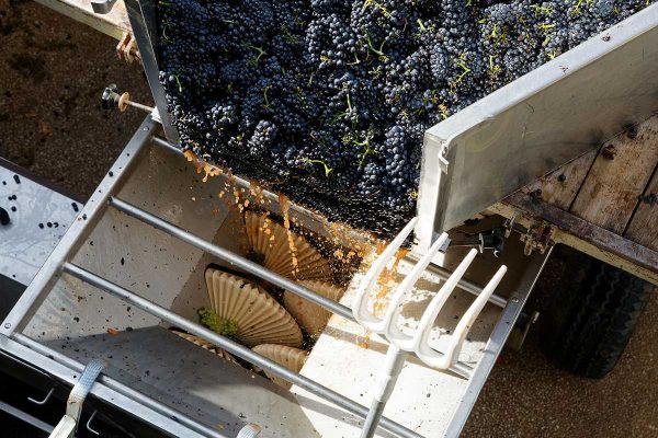 Domaine Joseph Voillot - Volnay 1er Cru les Fremiets - Rouge - 2022