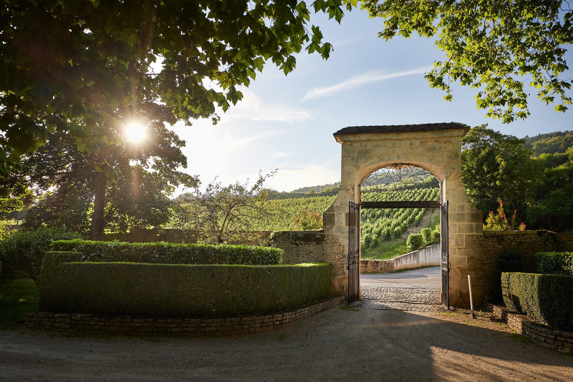 Chateau Philippe Le Hardi - Mercurey Vieilles Vignes - Aop Mercurey - 2021