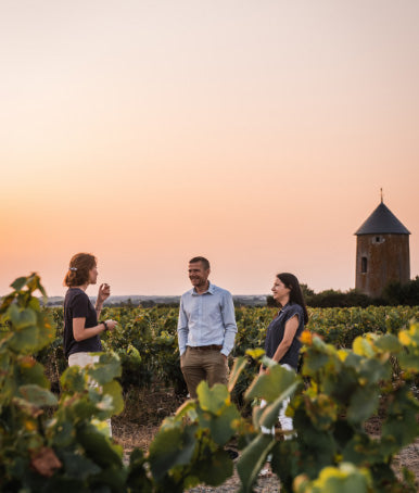 Domaine Menard Gaborit - Monnières Saint Fiacre - Blanc - Muscadet Sévre et Maine - 2020