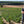 Carregar imagem no visualizador da galeria, Domaine Gautherin - Chablis - Blanc - 2024 - 0,75
