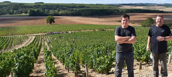 Domaine Gautherin - Chablis - Blanc - 2024 - 0,75