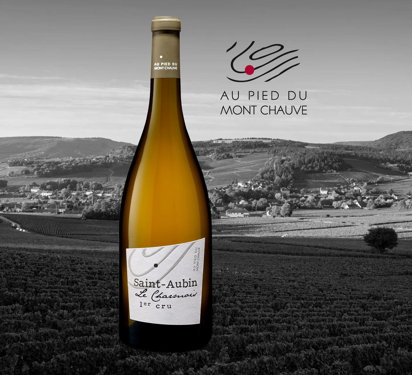 Au Pied Du Mont Chauve - Saint Aubin 1Er Cru Le Charmois - Aop Saint Aubin 1Er Cru - 2018