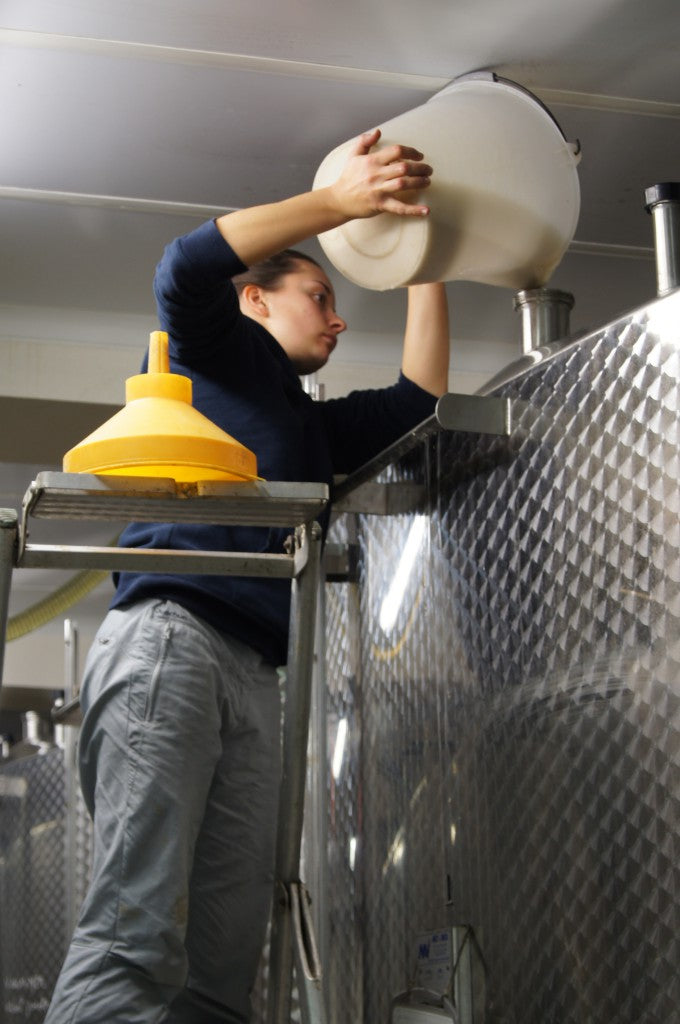 Domaine Fourrey - Chablis Grand Cru Vaudesir - Blanc - 2022 - 0,75