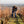 Carregar imagem no visualizador da galeria, Domaine Joseph Voillot - Bourgogne Pinot Noir - Rouge - 2023 - 0,75
