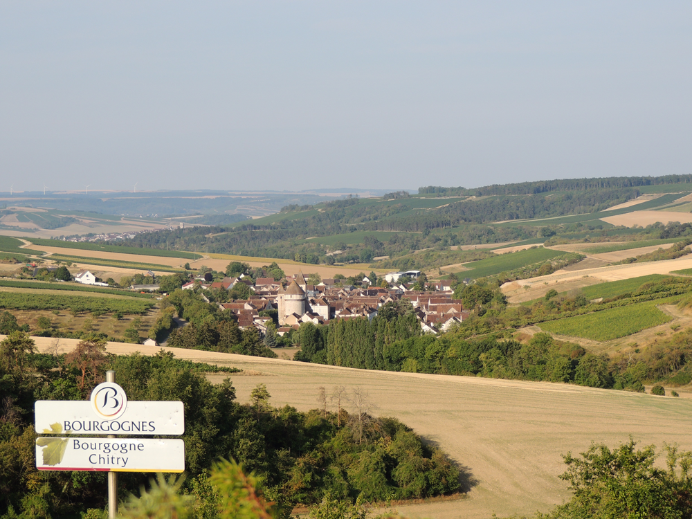 Maison Jean Notton - Chablis Vaucoupin 1er cru - Blanc - 2022
