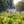 Carregar imagem no visualizador da galeria, Chateau Cantemerle - Chateau Cantemerle Aop Haut Medoc - Rouge - 2023 - 0,75
