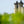 Carregar imagem no visualizador da galeria, Chateau Labegorce - Chateau Labegorce Aop Margaux - Rouge - 2021 - 0,75
