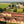 Carregar imagem no visualizador da galeria, Chateau Giscours - Chateau Giscours Aop Margaux - Rouge - 2021 - 0,75
