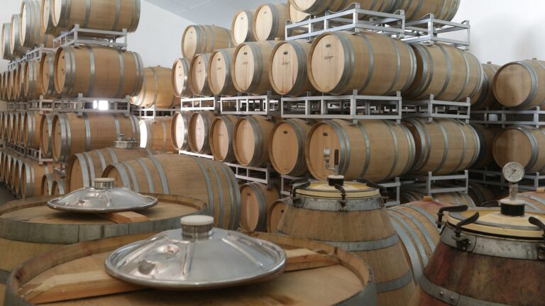 Vignobles Baylet - Chateau Landereau Prestige - Rouge - 2021 - 0,75