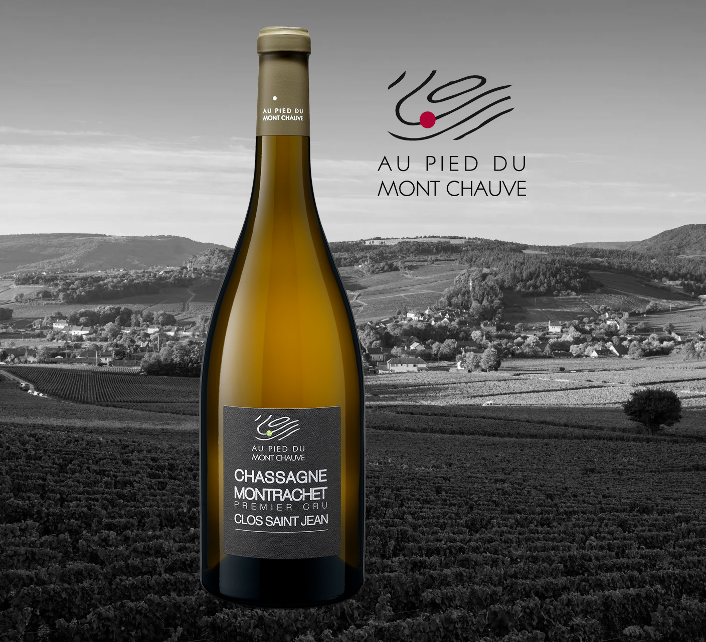 Au Pied Du Mont Chauve - Chassagne-Montrachet 1Er Cru - Aop Chassagne Montrachet 1Er C - 2018