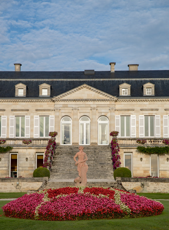 Chateau Ducru Beaucaillou - Le Petit Ducru De Ducru-Beaucaillou - Aop Saint Julien - 2019