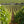 Carregar imagem no visualizador da galeria, Domaine Capuano Ferreri - Bourgogne Chardonnay - Blanc - 2022
