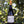 Carregar imagem no visualizador da galeria, Domaine Menard Gaborit - Monnières Saint Fiacre - Blanc - Muscadet Sévre et Maine - 2020
