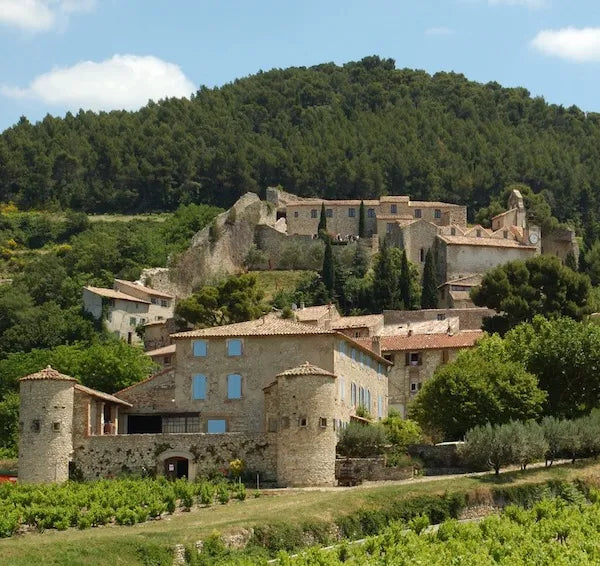 Moulin De La Gardette - Gigondas - Tradition - Rouge - 2020