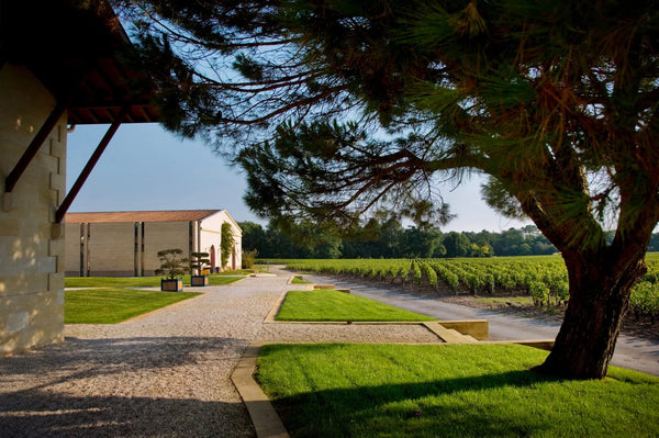 Domaine De Chevalier - Domaine De Chevalier Aop Pessac Leognan - Rouge - 2021 - 0,75