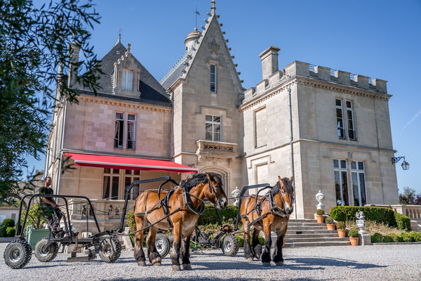Chateau Pape Clement - Chateau Pape Clement Aop Pessac Leognan - Rouge - 2022 - 0,75