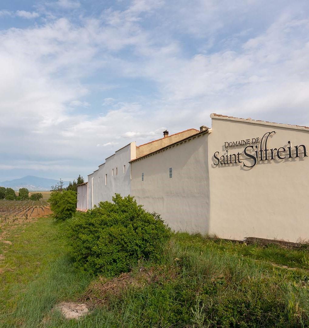 Domaine De Saint Siffrein - Chateauneuf Du Pape Blanc - Aop Chateauneuf Du Pape - 2022