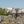 Carregar imagem no visualizador da galeria, Chateau Pontet Canet - Chateau Pontet Canet Aop Pauillac - Rouge - 2021 - 0,75
