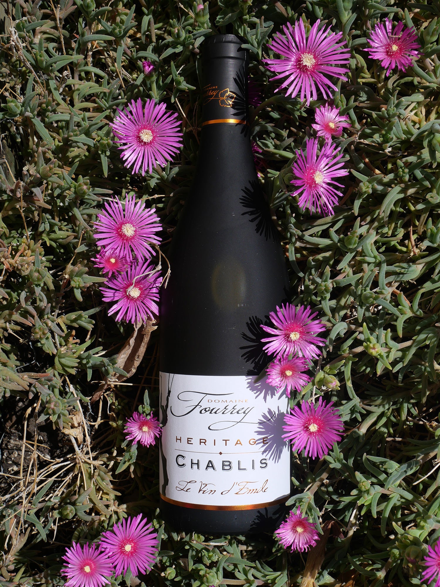 Domaine Fourrey - Chablis Heritage - Blanc - 2022 - 0,75
