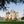 Carregar imagem no visualizador da galeria, Chateau Pape Clement - Chateau Pape Clement Aop Pessac Leognan - Rouge - 2022 - 0,75
