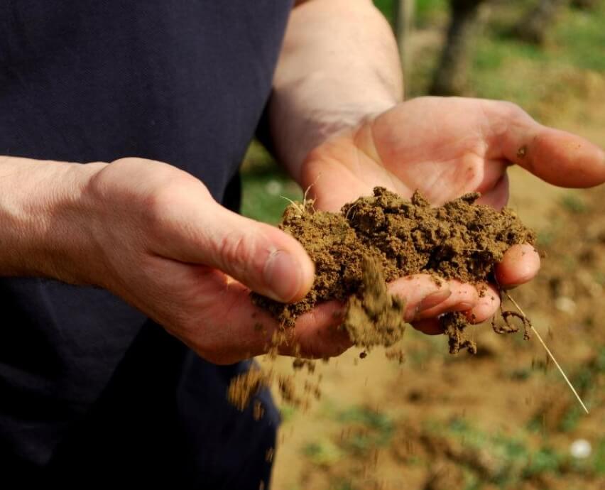 Leduc Frouin - Alexine - Blanc - 2023 - 0,75