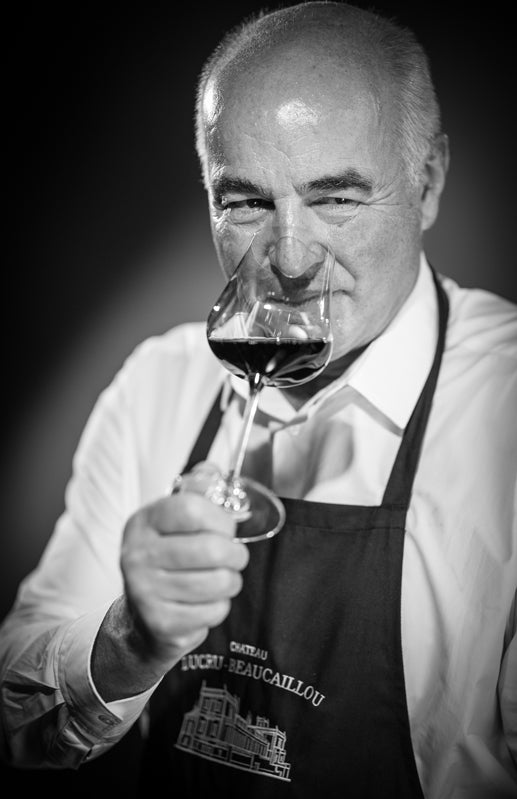 Chateau Ducru Beaucaillou - Le Petit Ducru de Ducru-Beaucaillou - Rouge - 2019