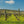 Carregar imagem no visualizador da galeria, Domaine Desvignes - Givry - Blanc - 2022 - 0,75
