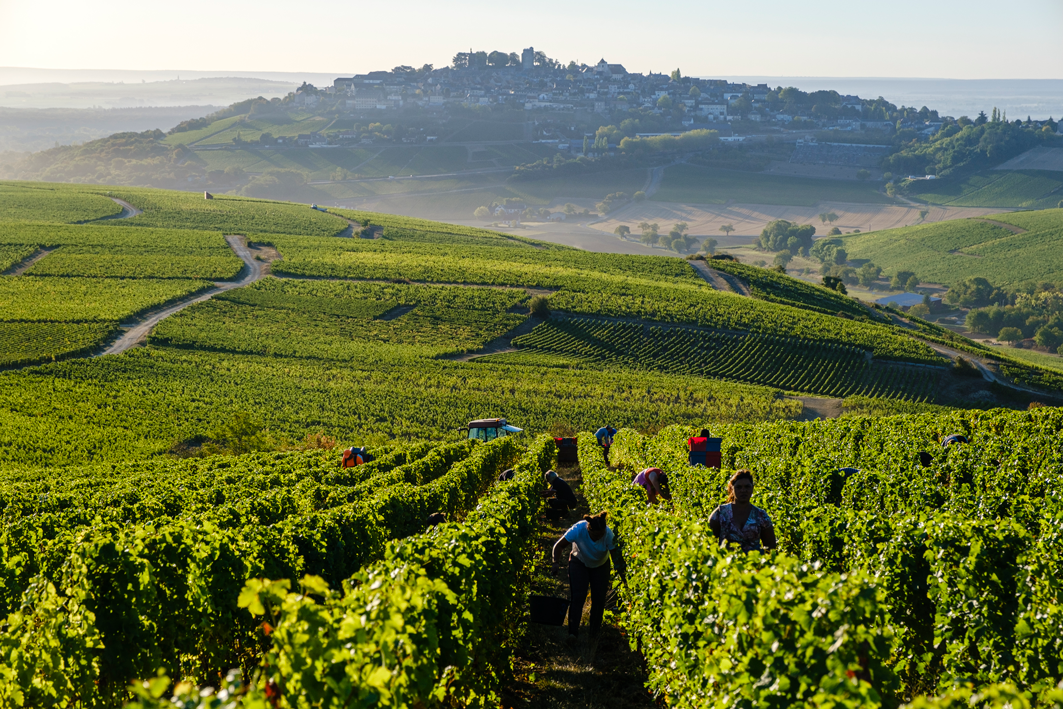 Pierre Prieur - Sancerre Les Silex - Blanc - 2023