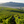 Carregar imagem no visualizador da galeria, Pierre Prieur - Sancerre Les Silex - Blanc - 2023
