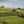 Carregar imagem no visualizador da galeria, Chateau Pierre 1Er - Chateau Pierre 1Er Aop Saint Emilion Grand Cru - Rouge - 2014 - 0,75
