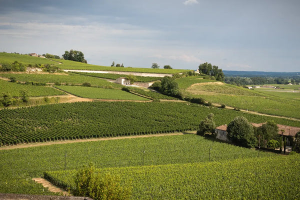 Chateau Pierre 1Er - Chateau Pierre 1Er Aop Saint Emilion Grand Cru - Rouge - 2014 - 0,75