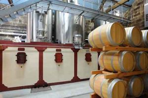 Chateau Haut Rocher - Chateau Haut Rocher Aop Saint Emilion Grand Cru - Rouge - 2019 - 0,75