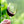 Carregar imagem no visualizador da galeria, Domaine Chevillon Chezeaux - Nuits Saint Georges 1er Cru Aux Bousselots - Rouge - 2022 - 0,75
