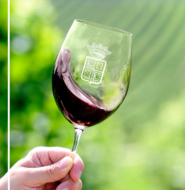 Domaine Chevillon Chezeaux - Nuits Saint Georges 1er Cru Aux Bousselots - Rouge - 2022 - 0,75