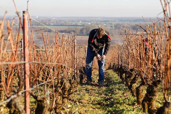 Domaine Joseph Voillot - Volnay vieilles vignes - Rouge - 2023 - 0,75