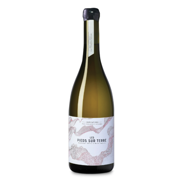 Domaine Menard Gaborit - Les Pieds sur Terre - Blanc - Muscadet Sèvre et Maine sur lie - 2022