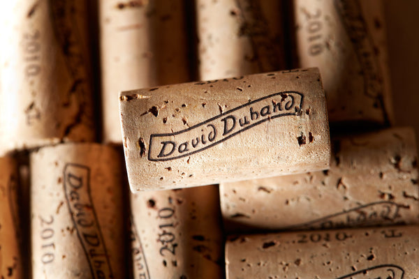 Domaine David Duband - Morey Saint Denis 1Er Cru Les Broc - Rouge - 2023 - 0,75