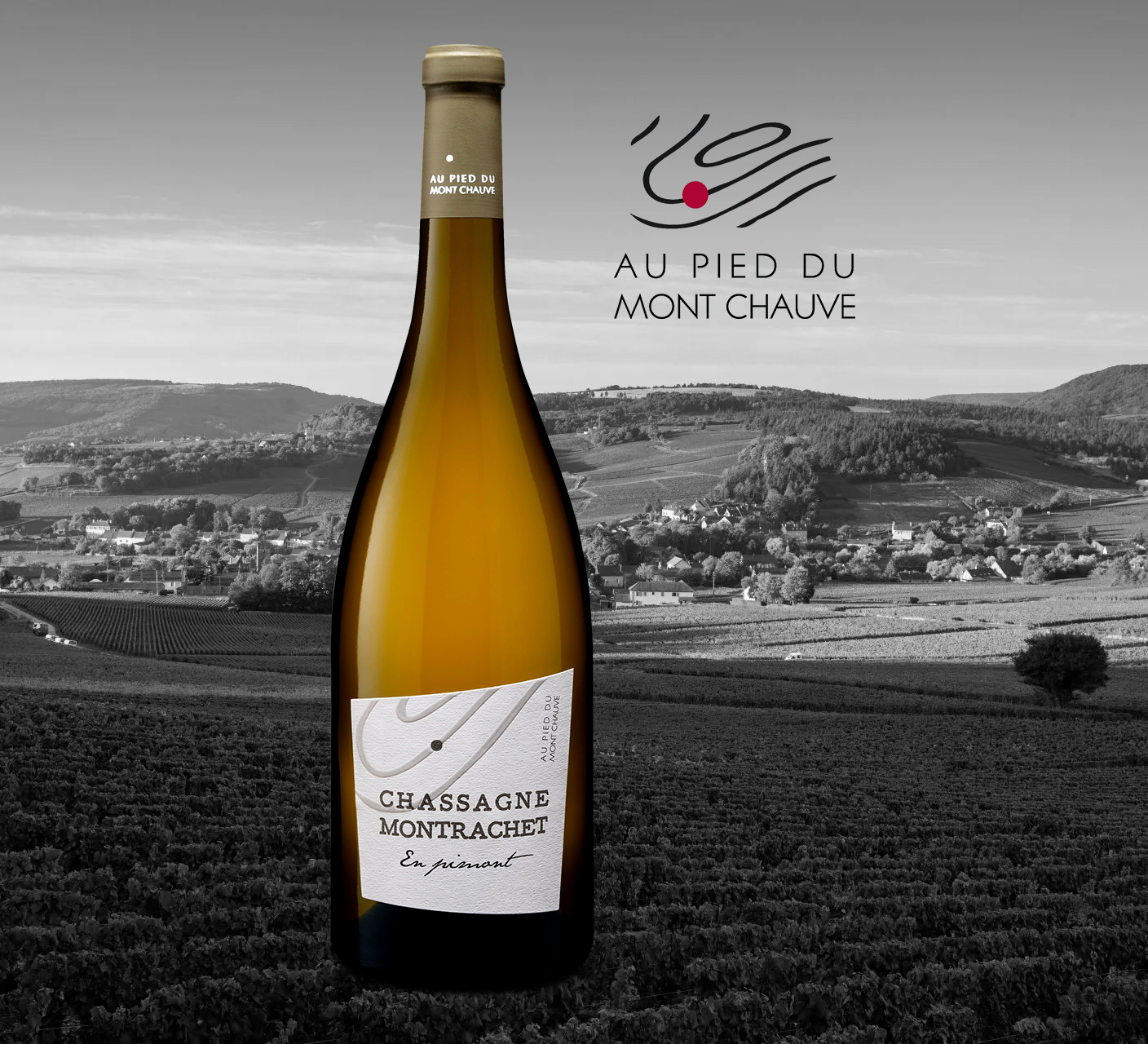 Au Pied Du Mont Chauve - Chassagne-Montrachet En Pimont - Aop Chassagne Montrachet - 2020