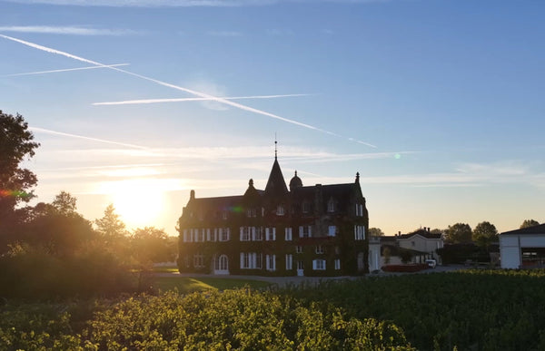 Chateau Lascombes - Chateau Lascombes Aop Margaux - Rouge - 2015 - 0,75
