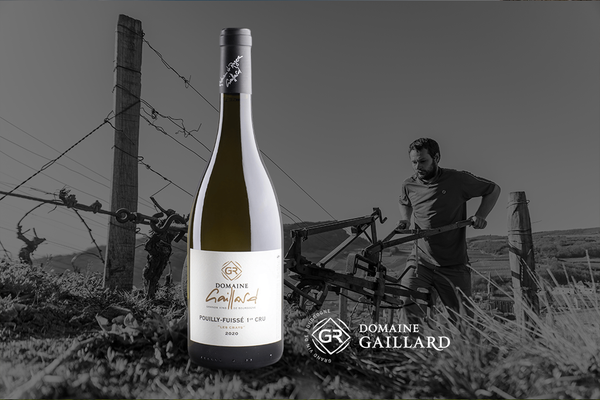 Domaine Gaillard - Pouilly Fuisse 1er Cru Les Crays - Blanc - 2023 - 0,75