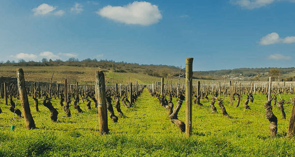 Domaine Desvignes - Givry - Rouge - 2023 - 0,75
