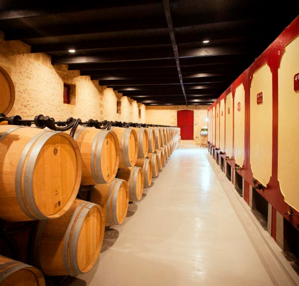 Chateau Haut Rocher - Chateau Haut Rocher Aop Saint Emilion Grand Cru - Rouge - 2019 - 0,75